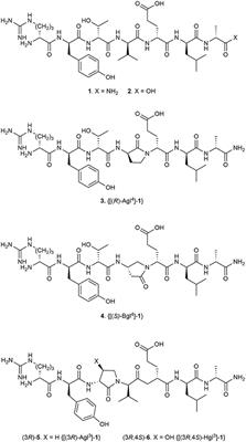 Probing Anti-inflammatory Properties Independent of NF-κB Through Conformational Constraint of Peptide-Based Interleukin-1 Receptor Biased Ligands